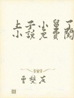 上子小舅了老婆小说免费阅读