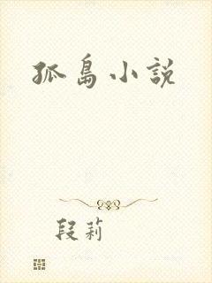 孤岛小说
