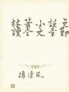 林萧小说免费阅读全文章节