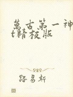 万古第一神txt精校版