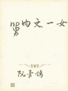 np肉文一女多男