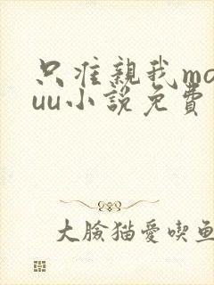 只准亲我moyuu小说免费阅读封面