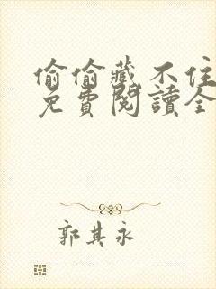 偷偷藏不住小说免费阅读全文无删减