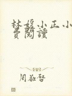林媛小正小说免费阅读