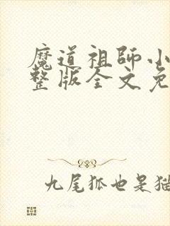 魔道祖师小说完整版全文免费阅读封面