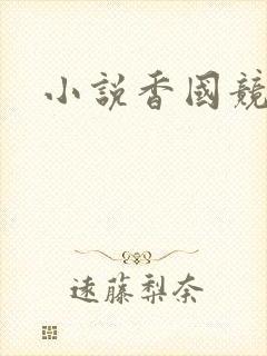小说香国竞艳封面