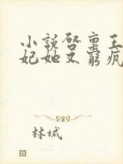 小说启禀王爷王妃她又穷疯了封面