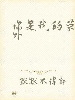 你是我的荣耀番外