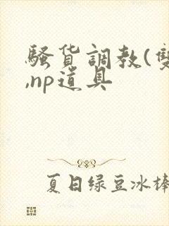 骚货调教(双性,np道具