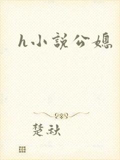 h小说公媳