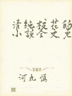 清纯校花的轶事小说全文免费阅读封面