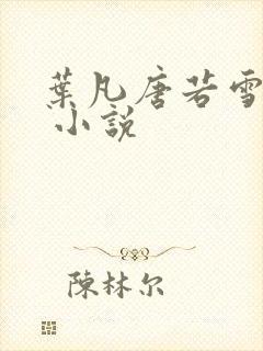 叶凡唐若雪医婿 小说封面