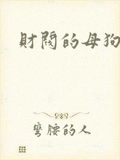 财阀的母狗们