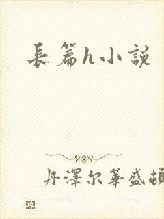 长篇h小说