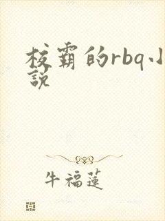 校霸的rbq小说