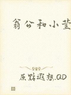 翁公和小莹小说