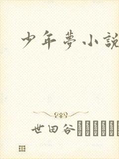 少年梦小说