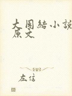 大团结小说阅读原文封面