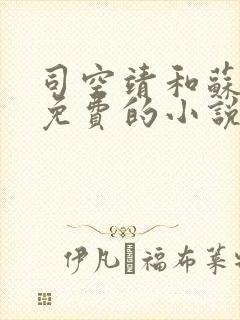 司空靖和苏月汐免费的小说笔趣阁