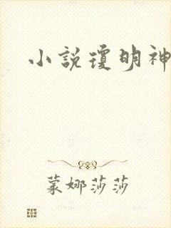 小说琼明神女录封面