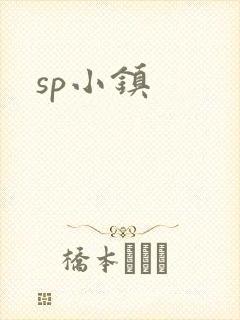 sp小镇封面
