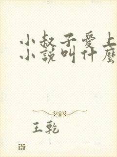 小叔子爱上嫂嫂小说叫什么名字封面