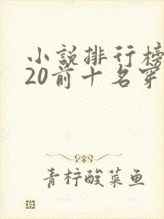小说排行榜2020前十名穿越