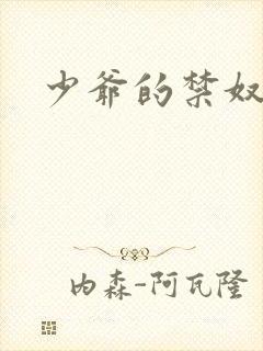 少爷的禁奴