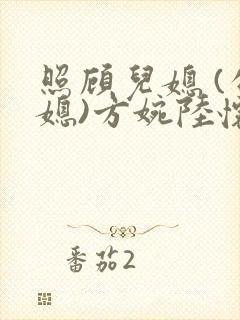 照顾儿媳 (公媳)方婉陆怀洲小说
