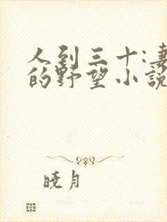 人到三十:妻子的野望小说阅读全文