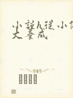 小说h从小做到大养成封面