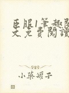臣服1笔趣阁全文免费阅读无弹窗封面