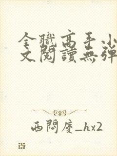 全职高手小说全文阅读无弹窗