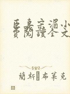 臣妻宋湄小说免费阅读全文