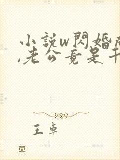 小说w闪婚成宠,老公竟是千亿大佬》封面