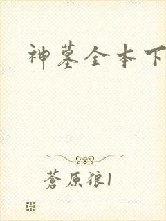 神墓全本下载
