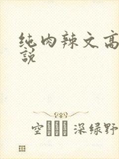 纯肉辣文高h小说