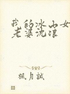 我的冰山女总裁老婆沈浪