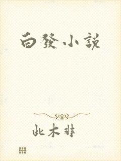 白发小说