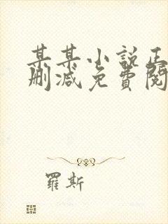 某某小说正版无删减免费阅读全文封面
