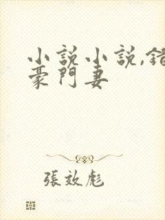 小说小说,错嫁豪门妻