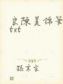 良陈美锦笔趣阁txt封面