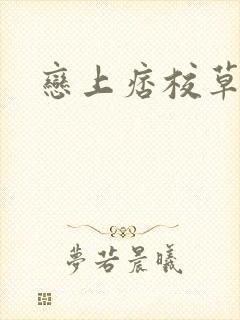 恋上痞校草