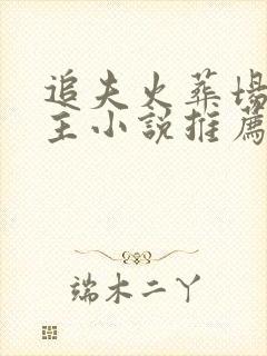 追夫火葬场双男主小说推荐