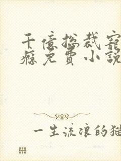 千亿总裁宠妻上瘾免费小说