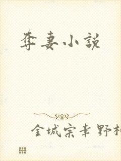 夺妻小说