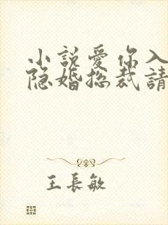 小说爱你入骨,隐婚总裁请签字未删减