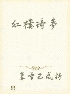 红楼琦梦