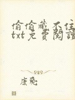偷偷藏不住小说txt免费阅读