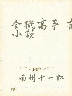 全职高手 有声小说